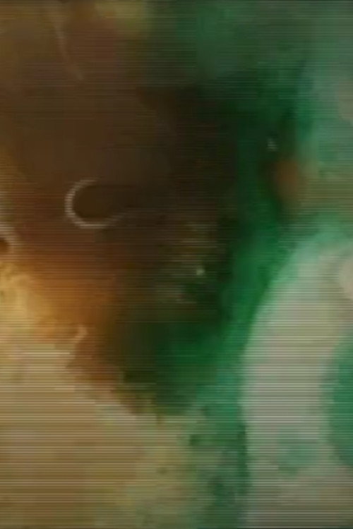 Marbling on film (2009) poster