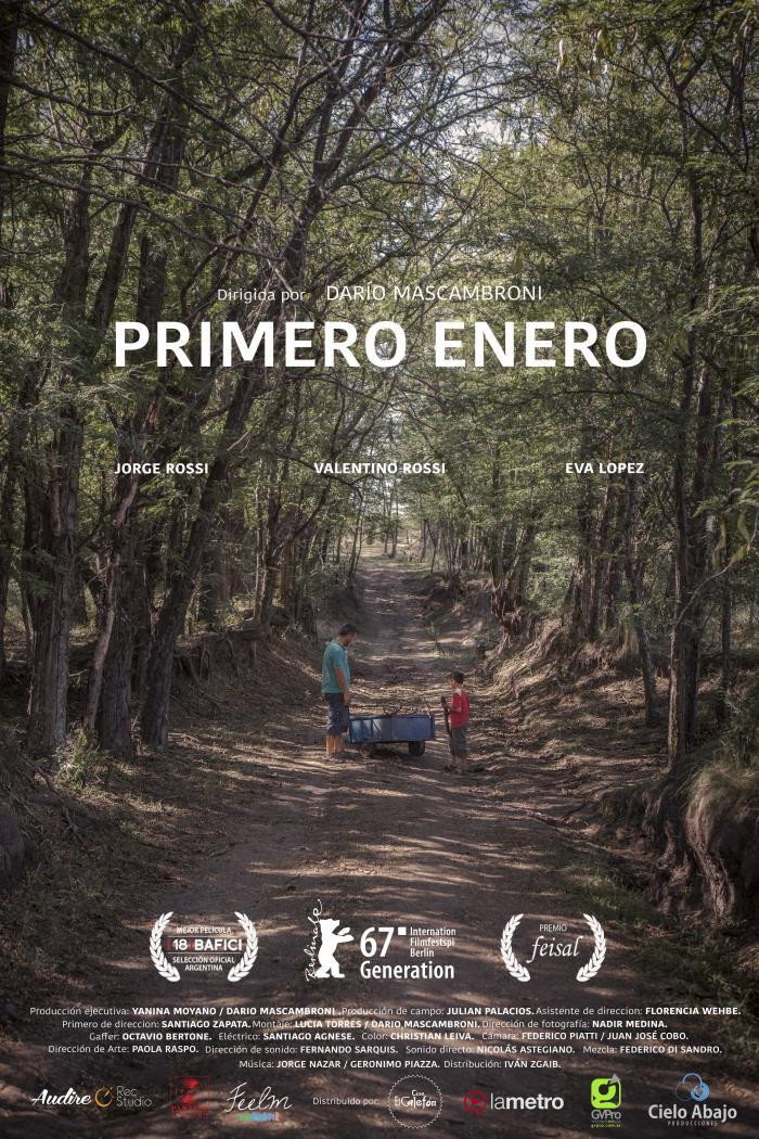 First January (2016) poster