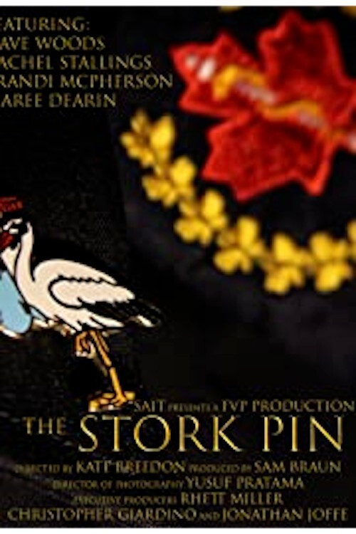 The Stork Pin (2021) poster