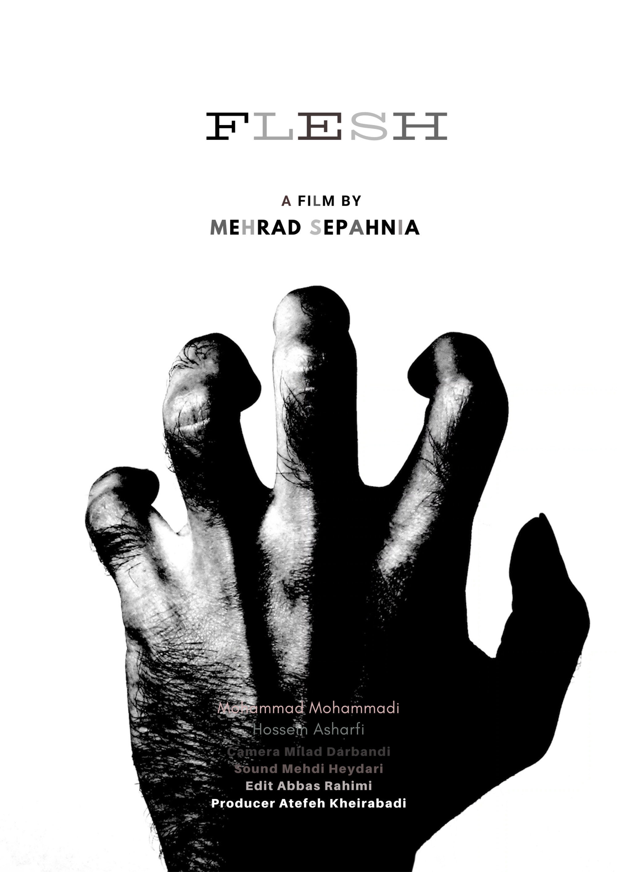 Flesh (2012) poster