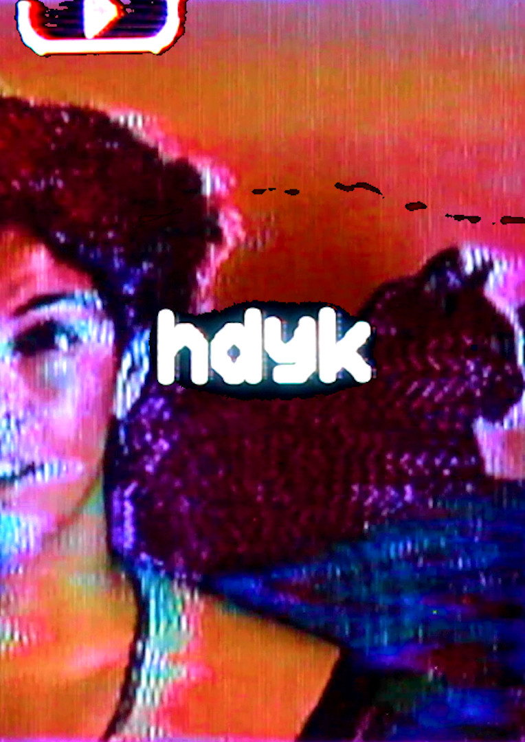 hdyk (2023) poster