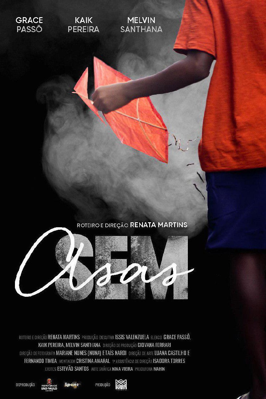 Sem Asas (2019) poster