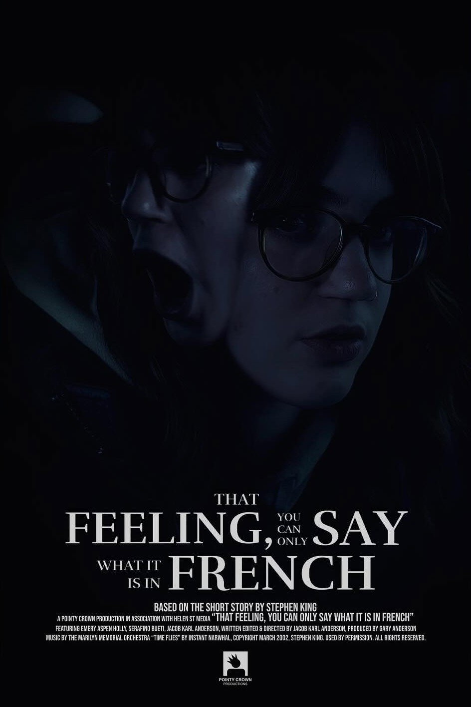 That Feeling, You Can Only Say What It Is In French (2024) poster