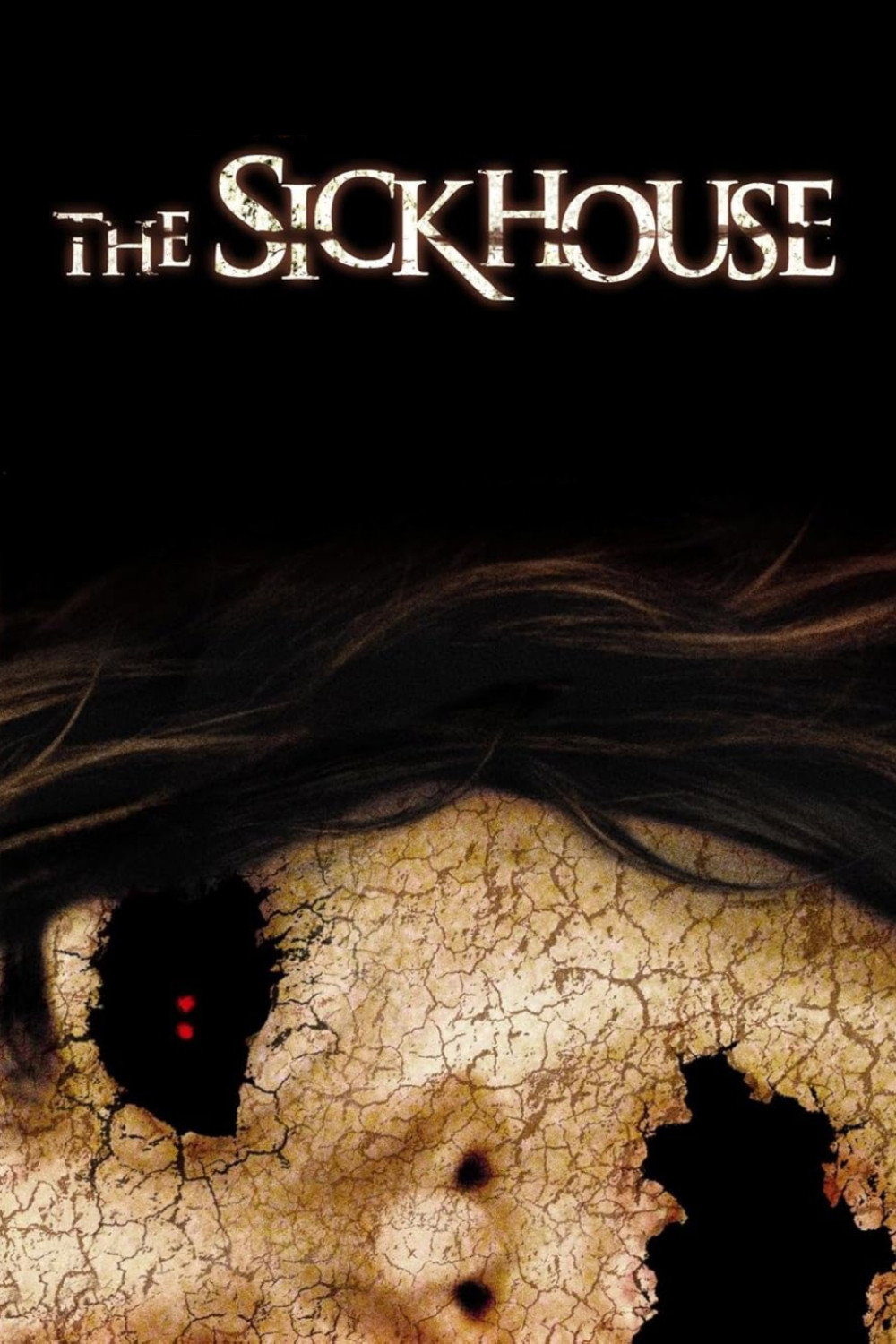 The Sickhouse (2008) poster