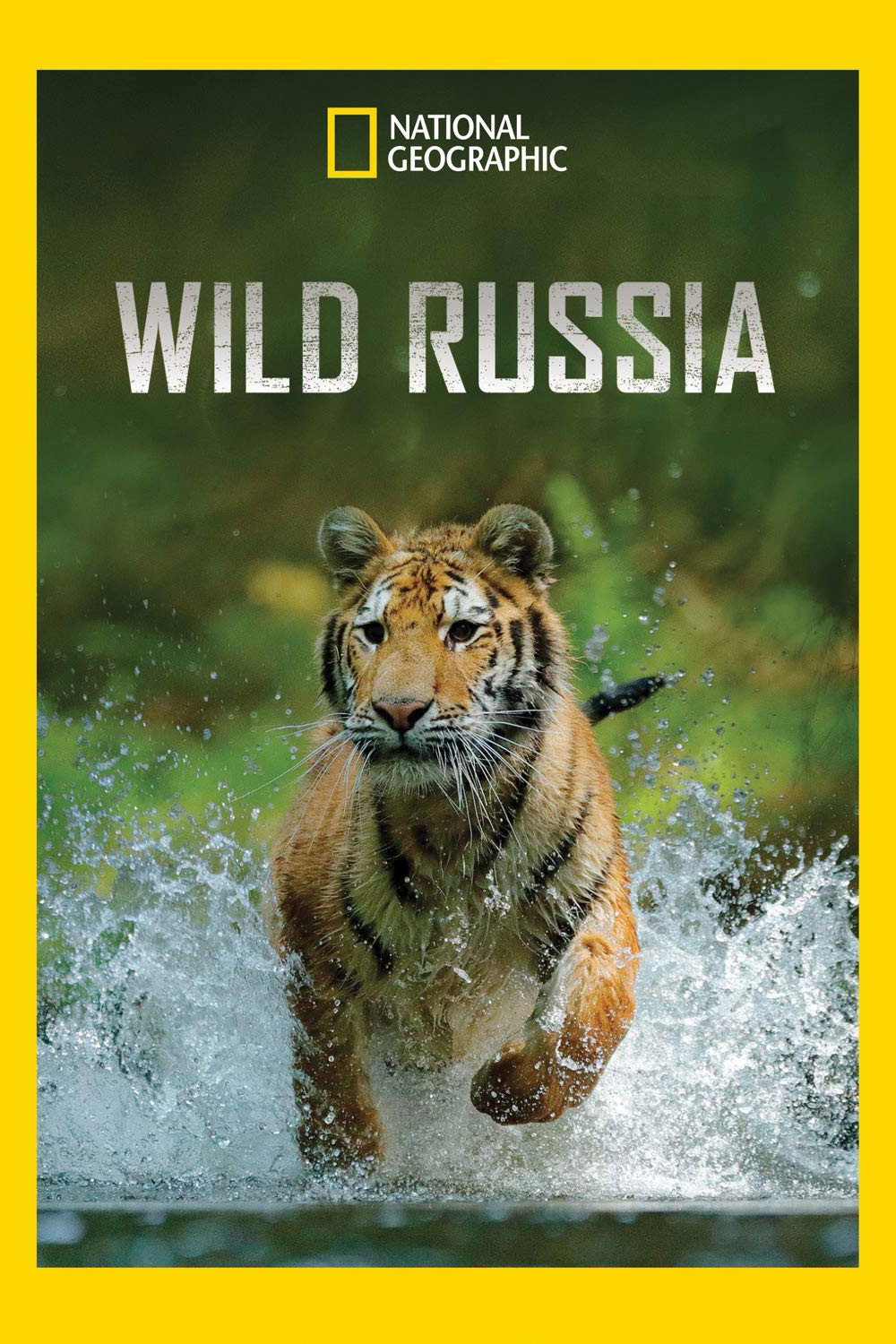 Wild Russia (2008) poster