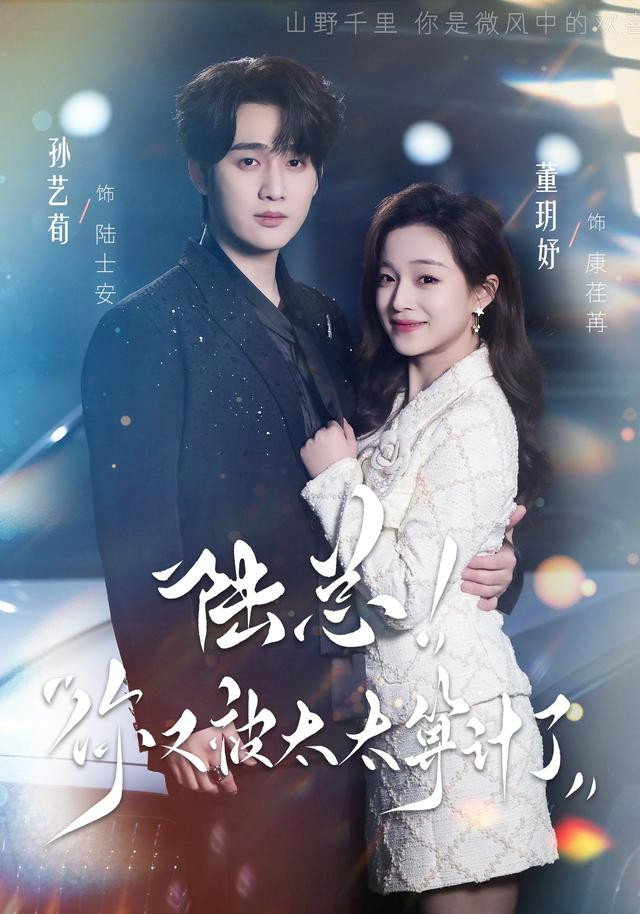 陆总，你又被太太算计了 (2026) poster