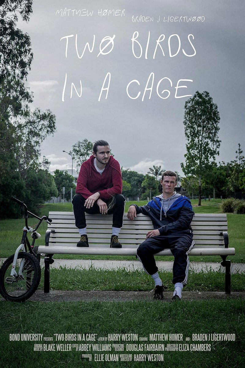 Two Birds in a Cage (2021) poster