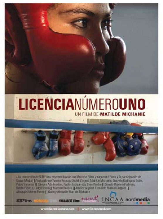 Licencia nº 1 (2008) poster