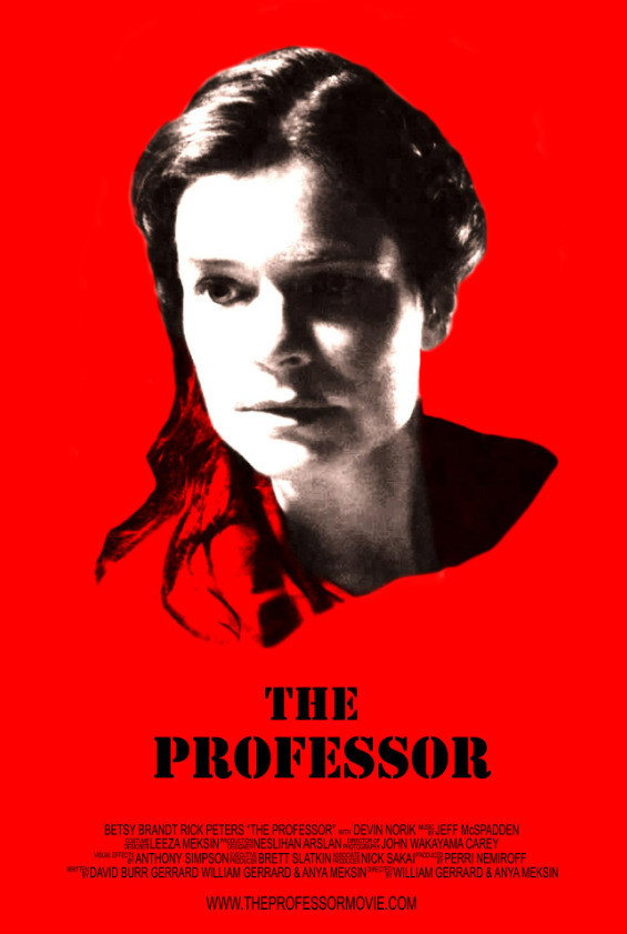 The Professor (2013) poster