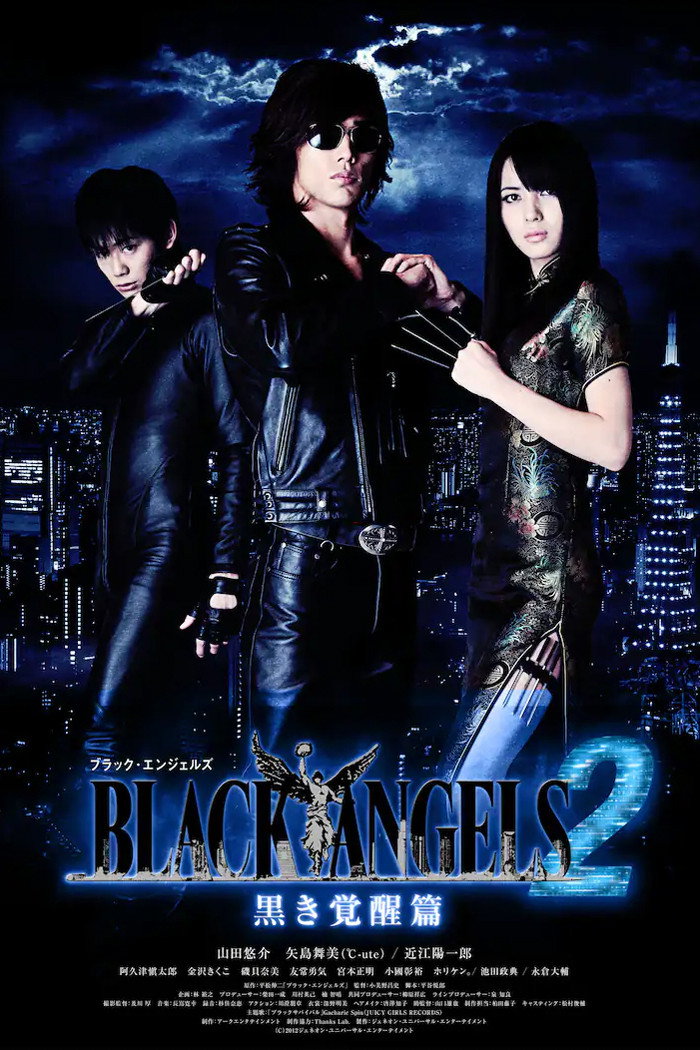 Black Angels 2 (2012) poster