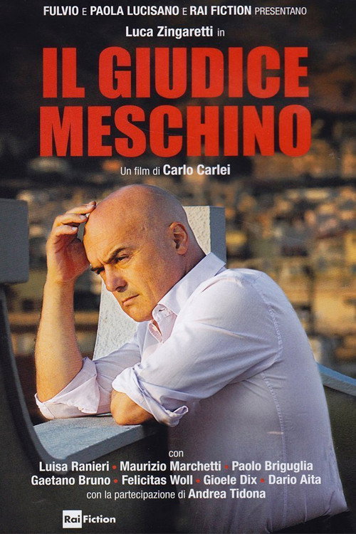 Il Giudice Meschino (2014) poster