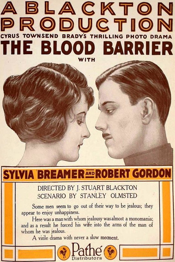 The Blood Barrier (1920) poster