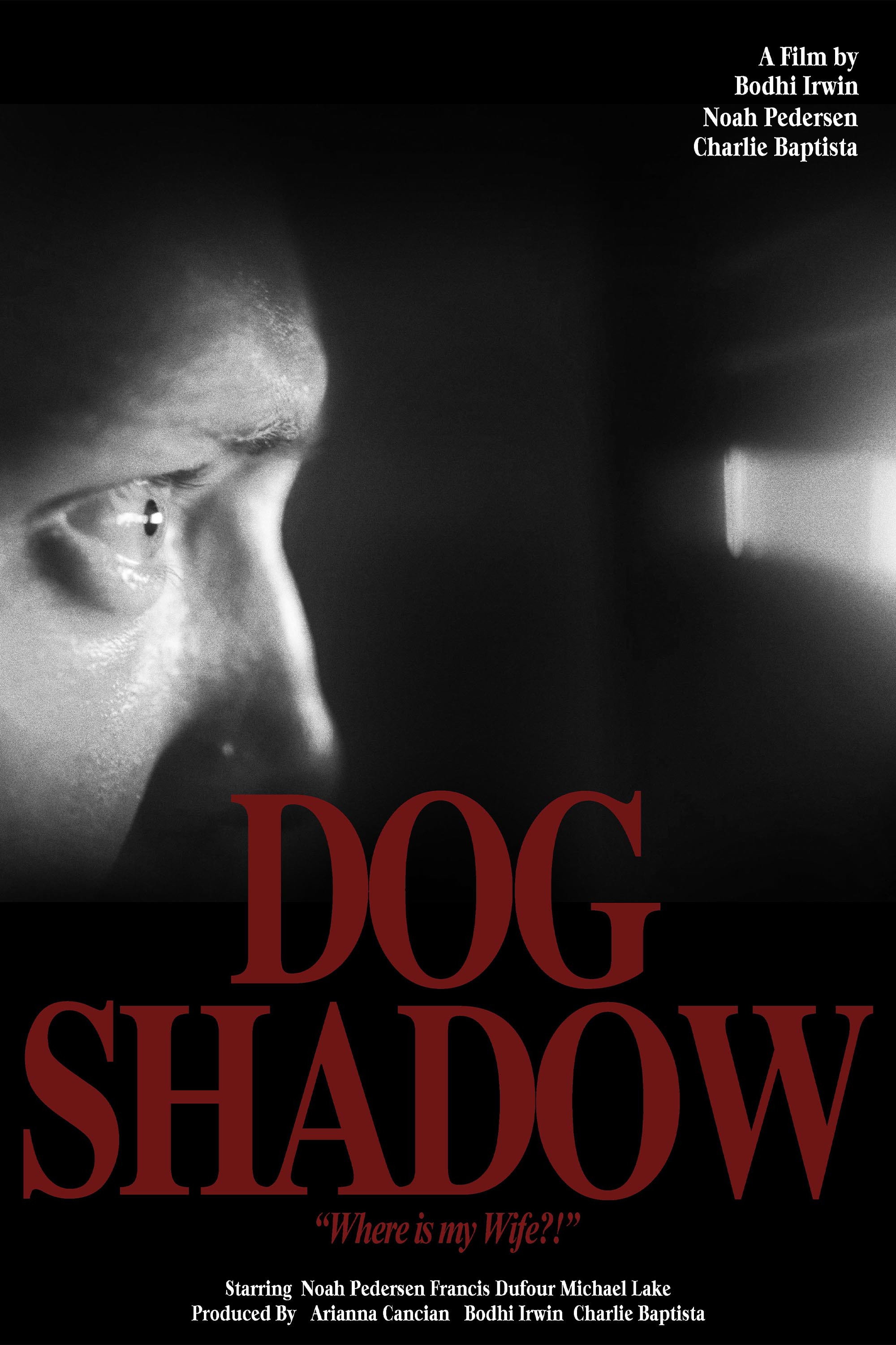 Dog Shadow (2023) poster