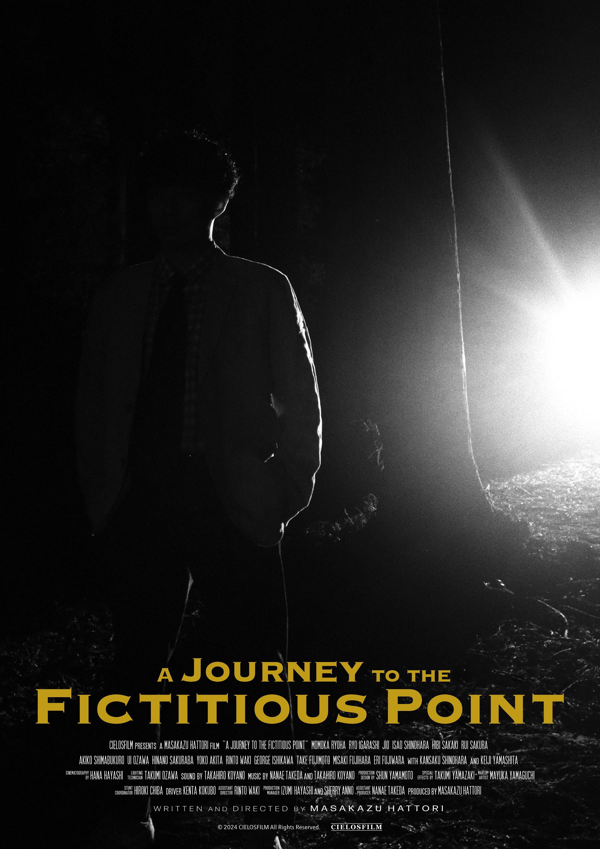 A Journey to the Fictitious Point (2025) poster