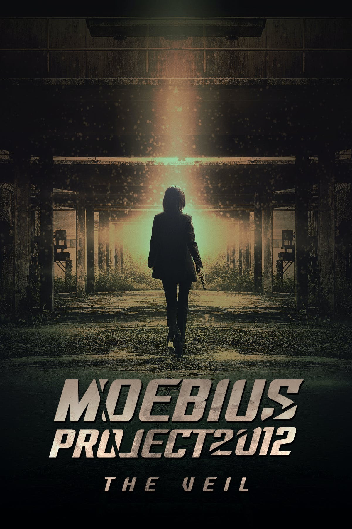 Moebius Project 2012: The Veil (2021) poster