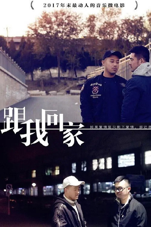 跟我回家 (2017) poster