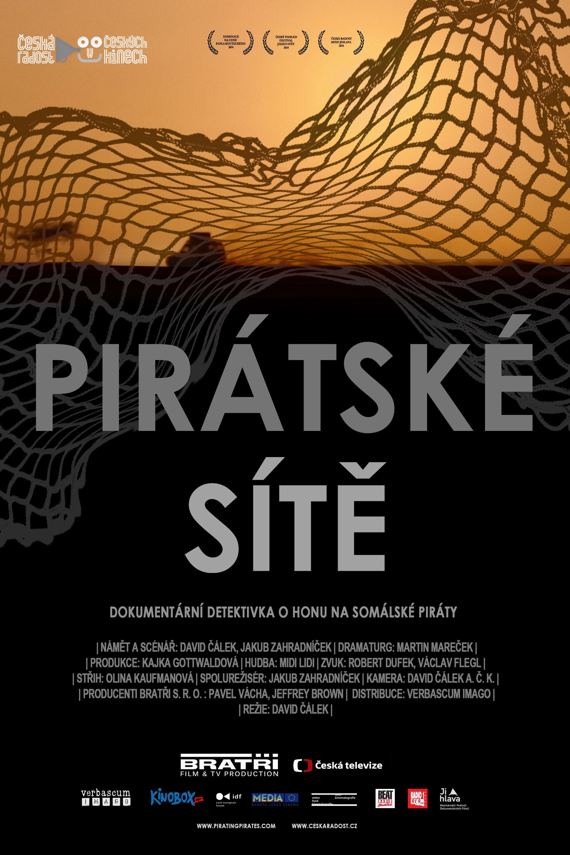 Pirating Pirates (2014) poster