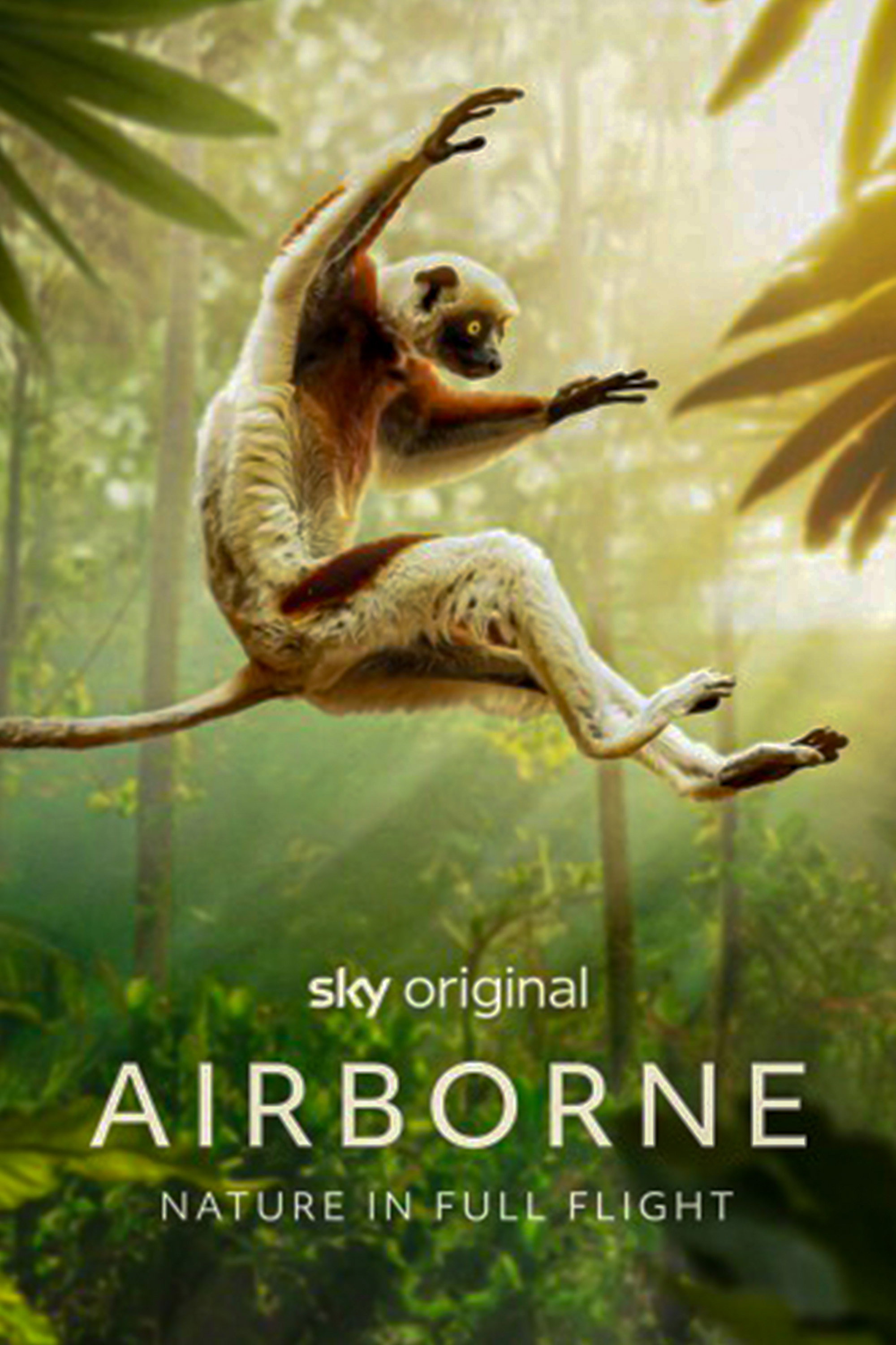 Airborne (2024) poster