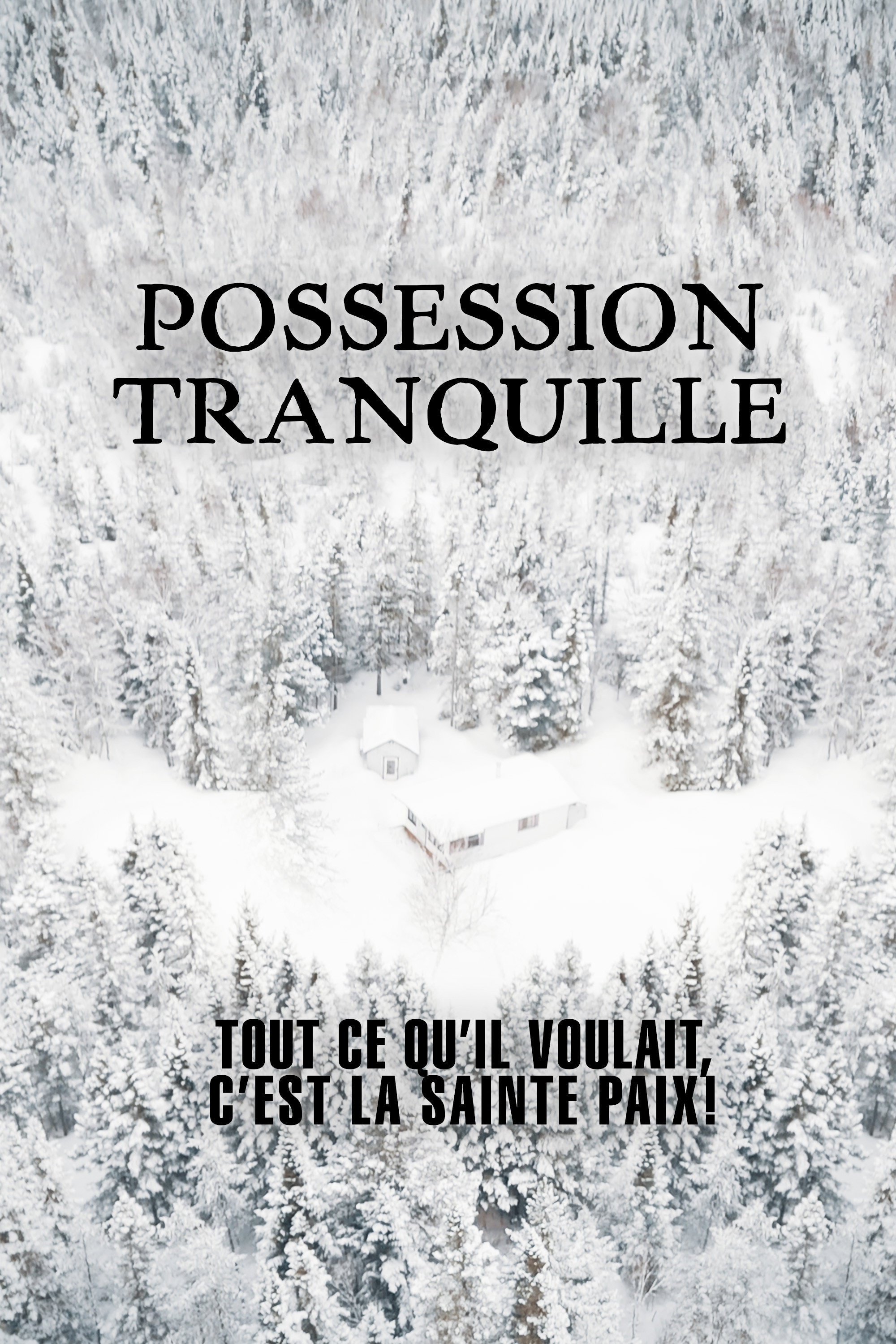 Silent Possession (2026) poster