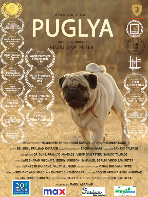 Puglya (2020) poster