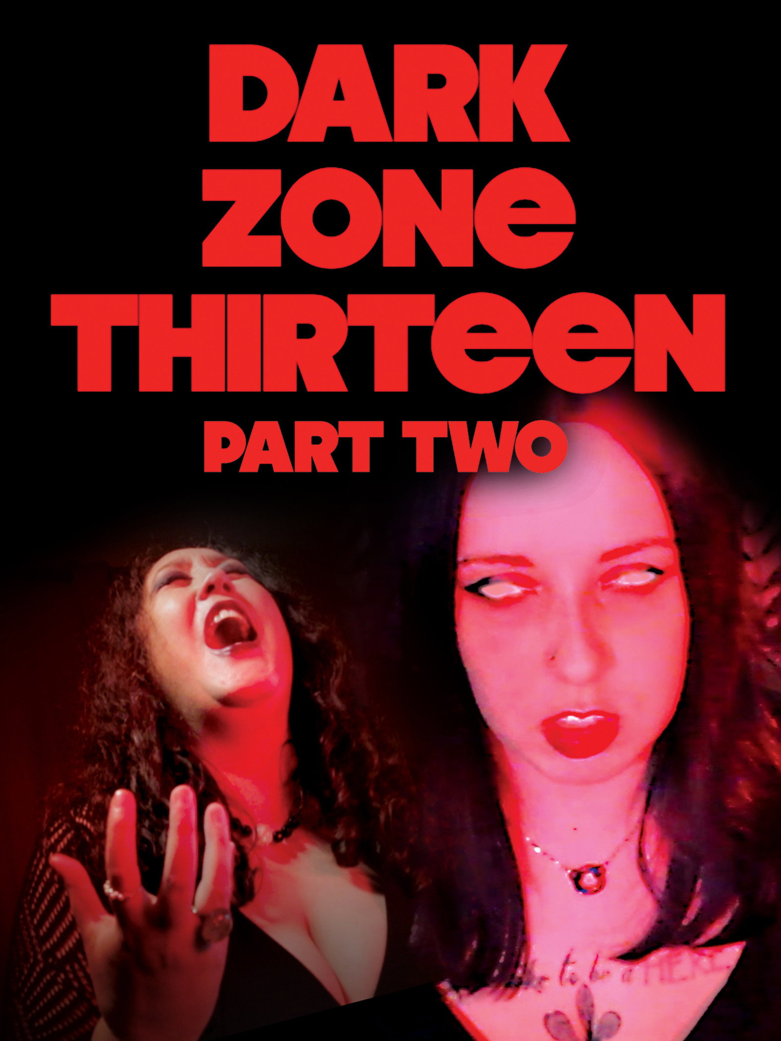 Dark Zone Thirteen Part 2 (2021) poster