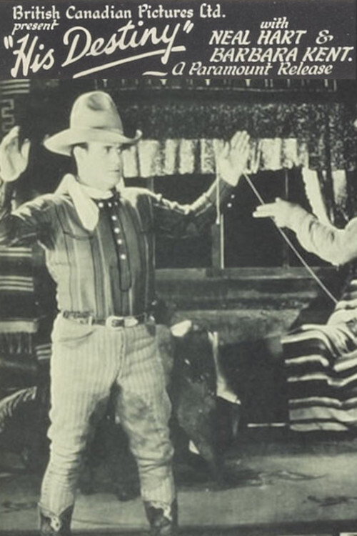 His Destiny (1928) poster