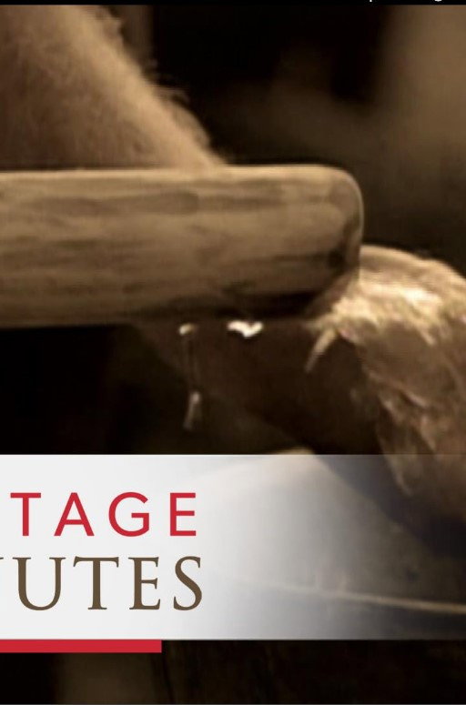 Heritage Minutes: Water Pump (1995) poster