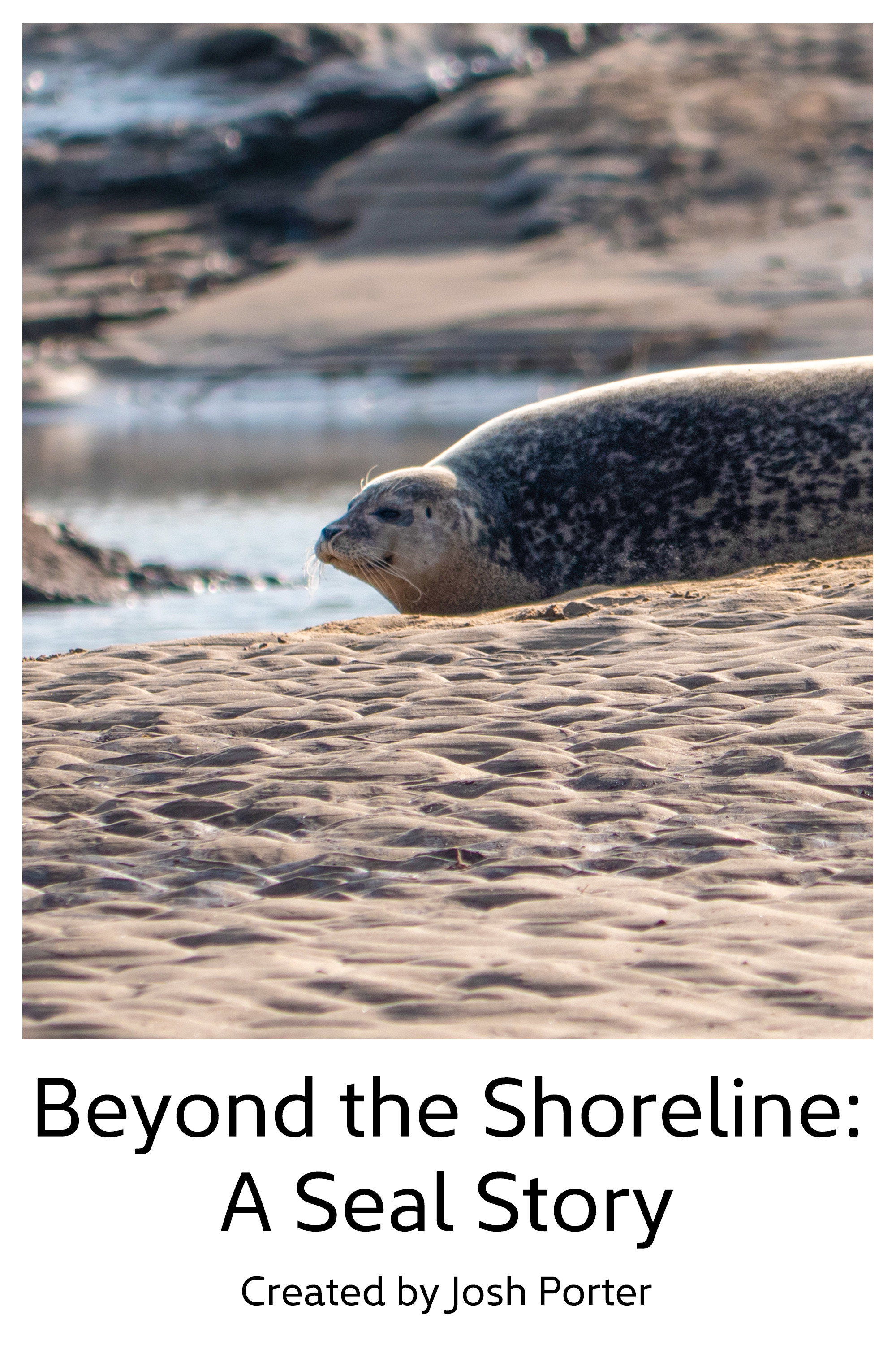 Beyond the Shoreline: A Seal Story (2023) poster