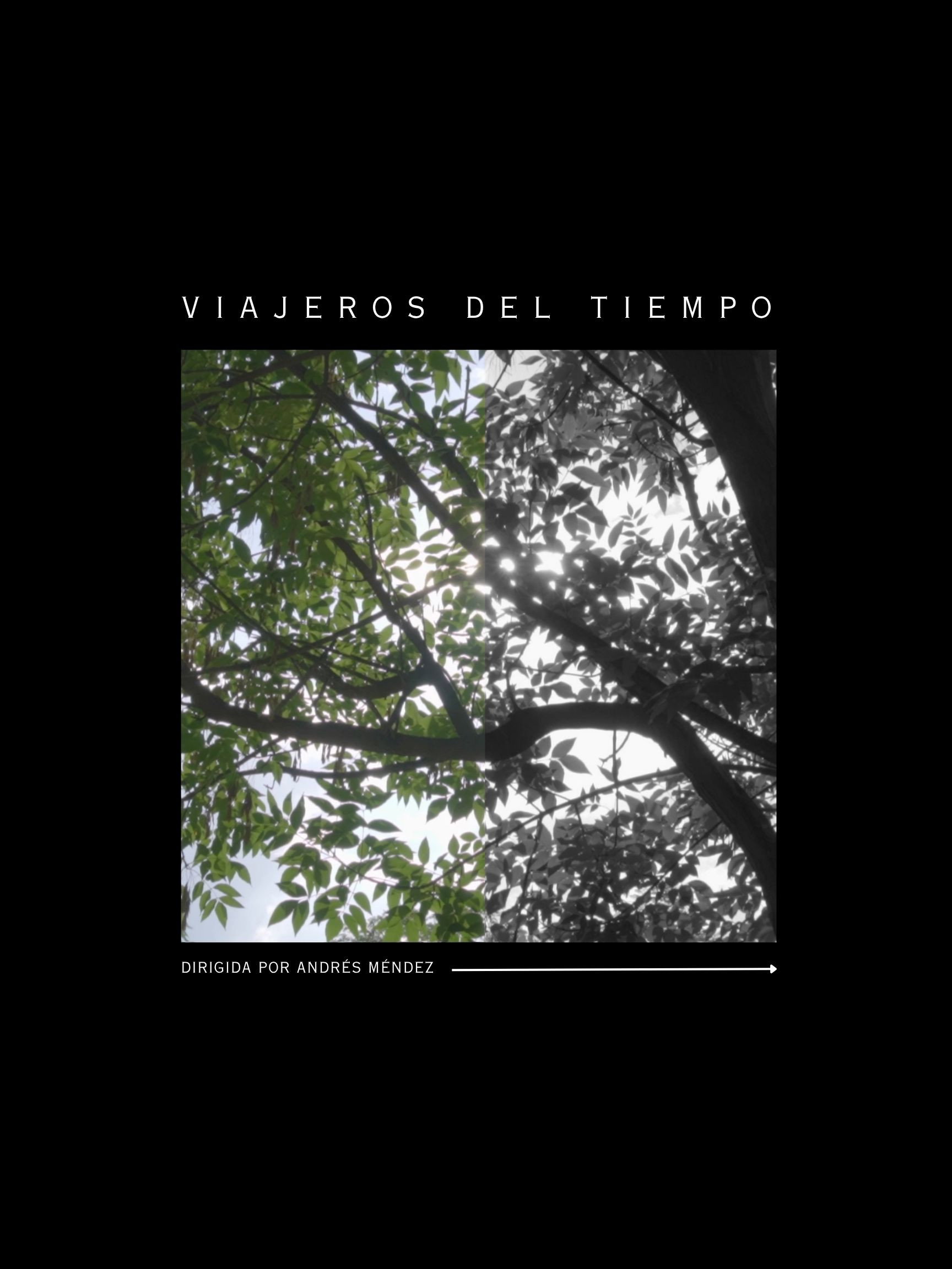 Viajeros del tiempo (2026) poster