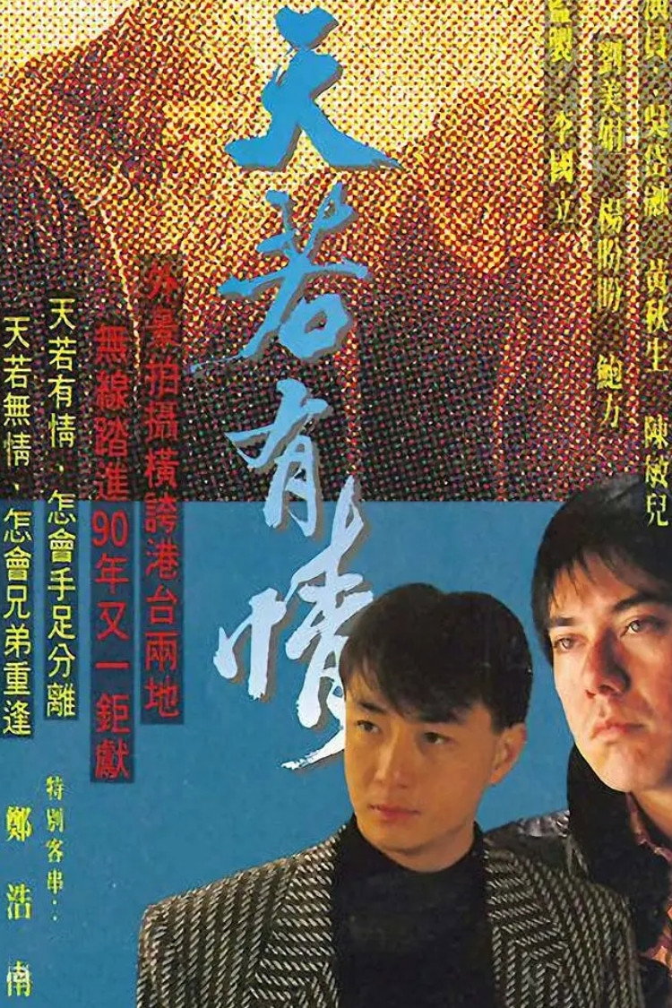 The Witness Of Time (1990) poster