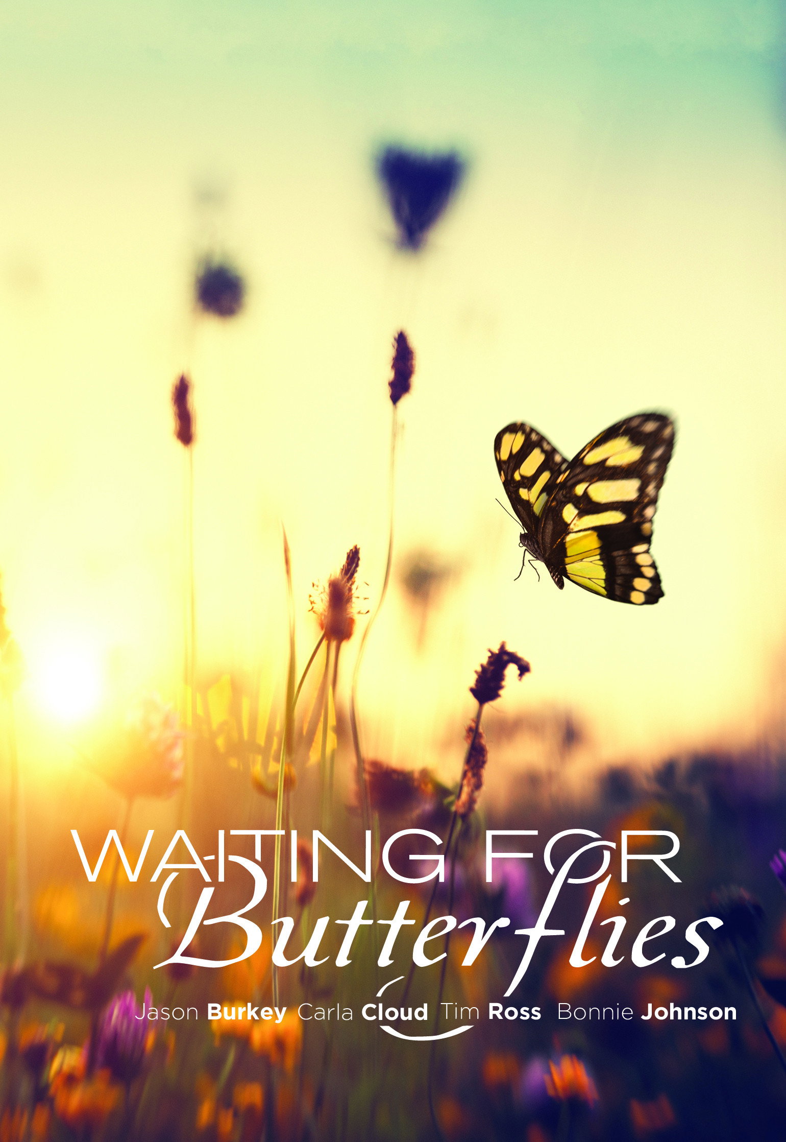 Waiting for Butterflies (2015) poster