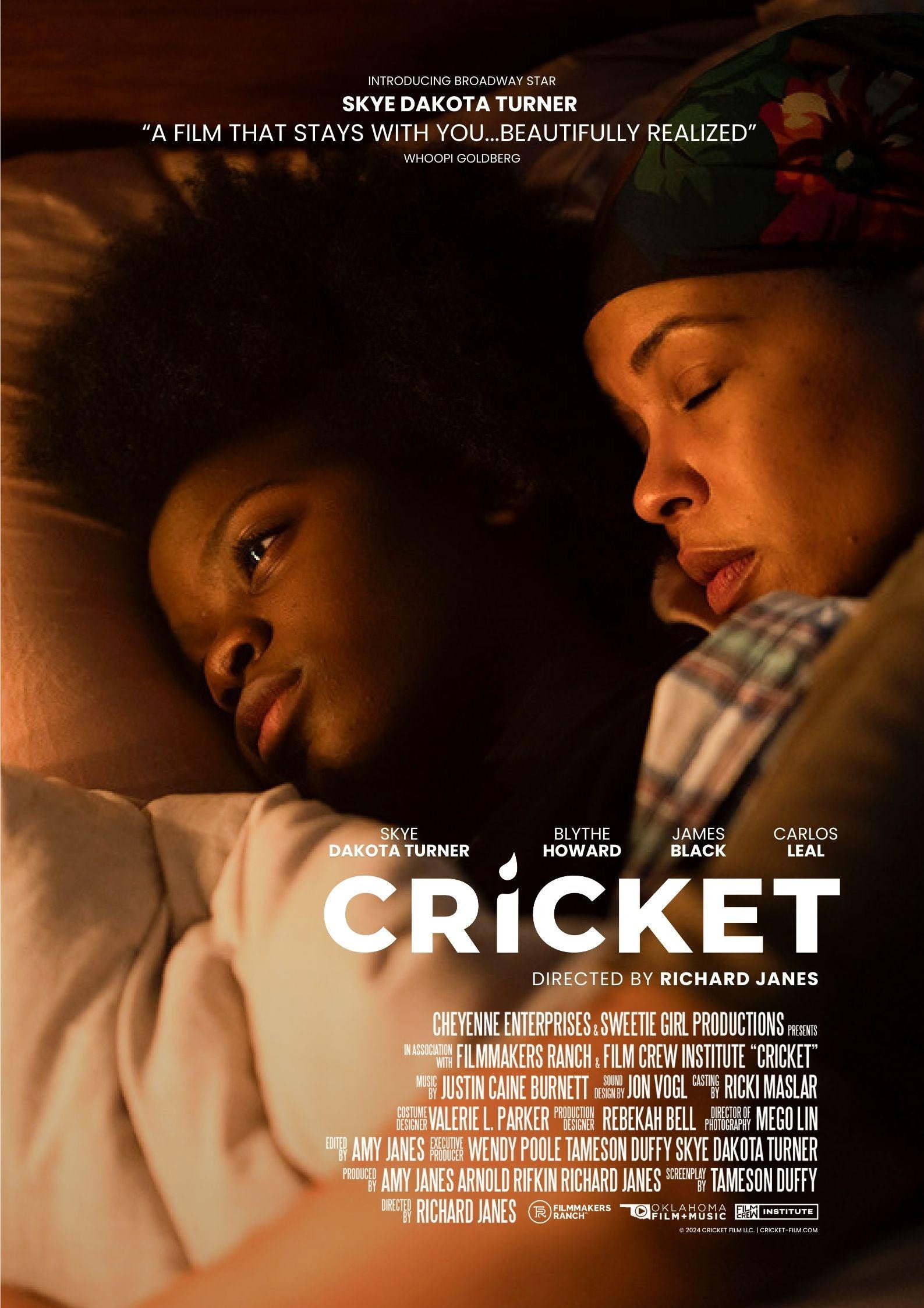 Cricket (2024) poster