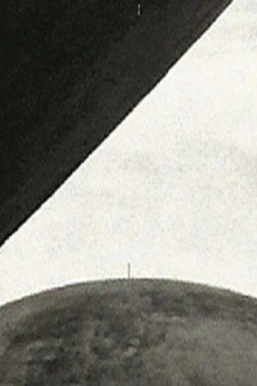Forma Livre (2013) poster