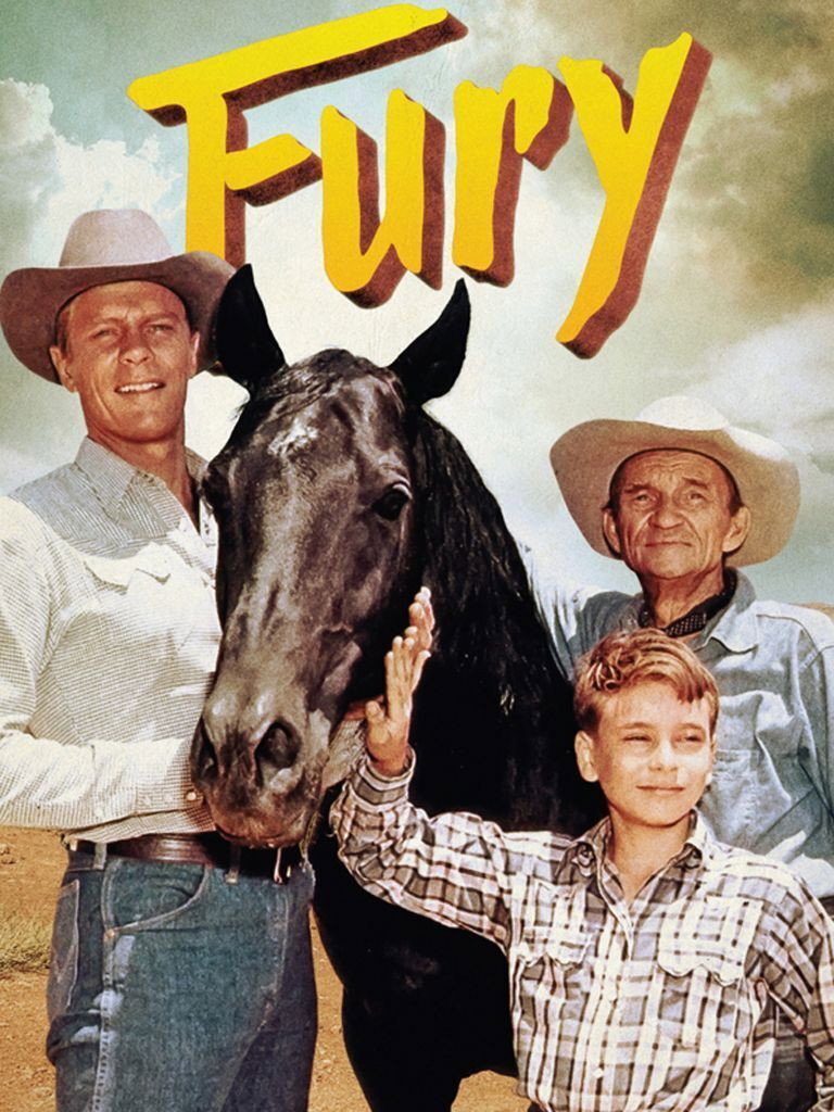 Fury (1955) poster