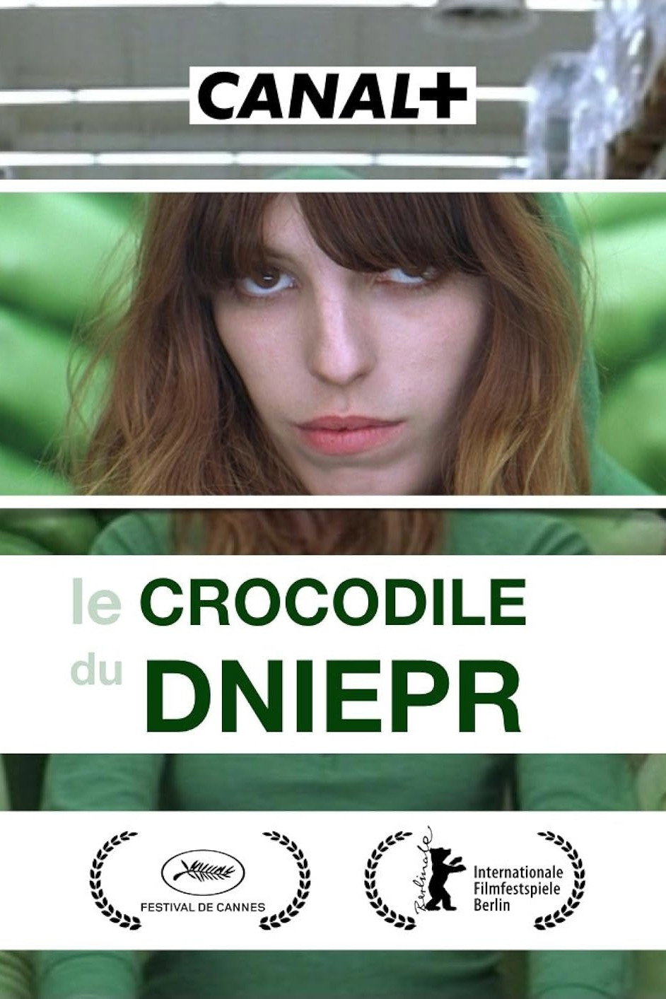 Dnipro Crocodile (2010) poster