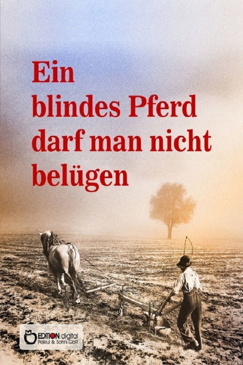 Ein blindes Pferd darf man nicht belügen (1992) poster