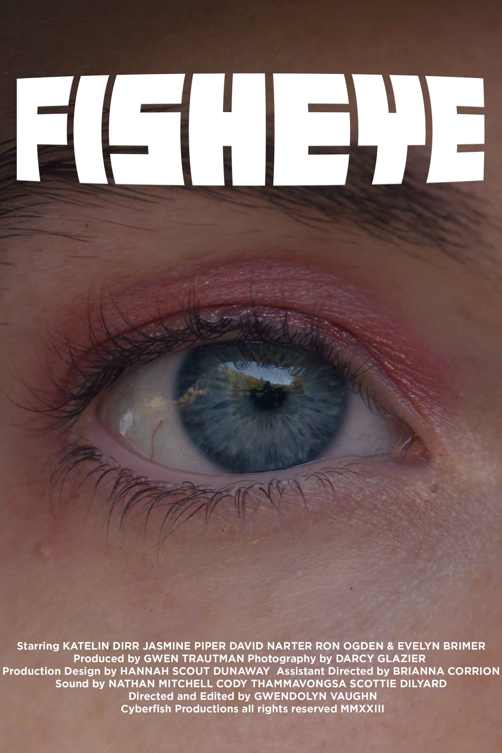Fisheye (2026) poster