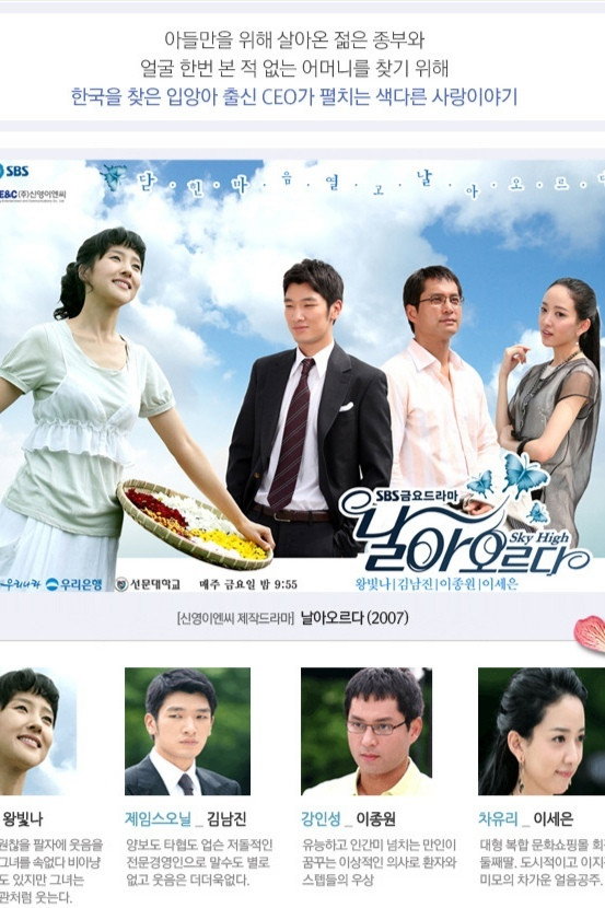 Fly To The Sky (2007) poster