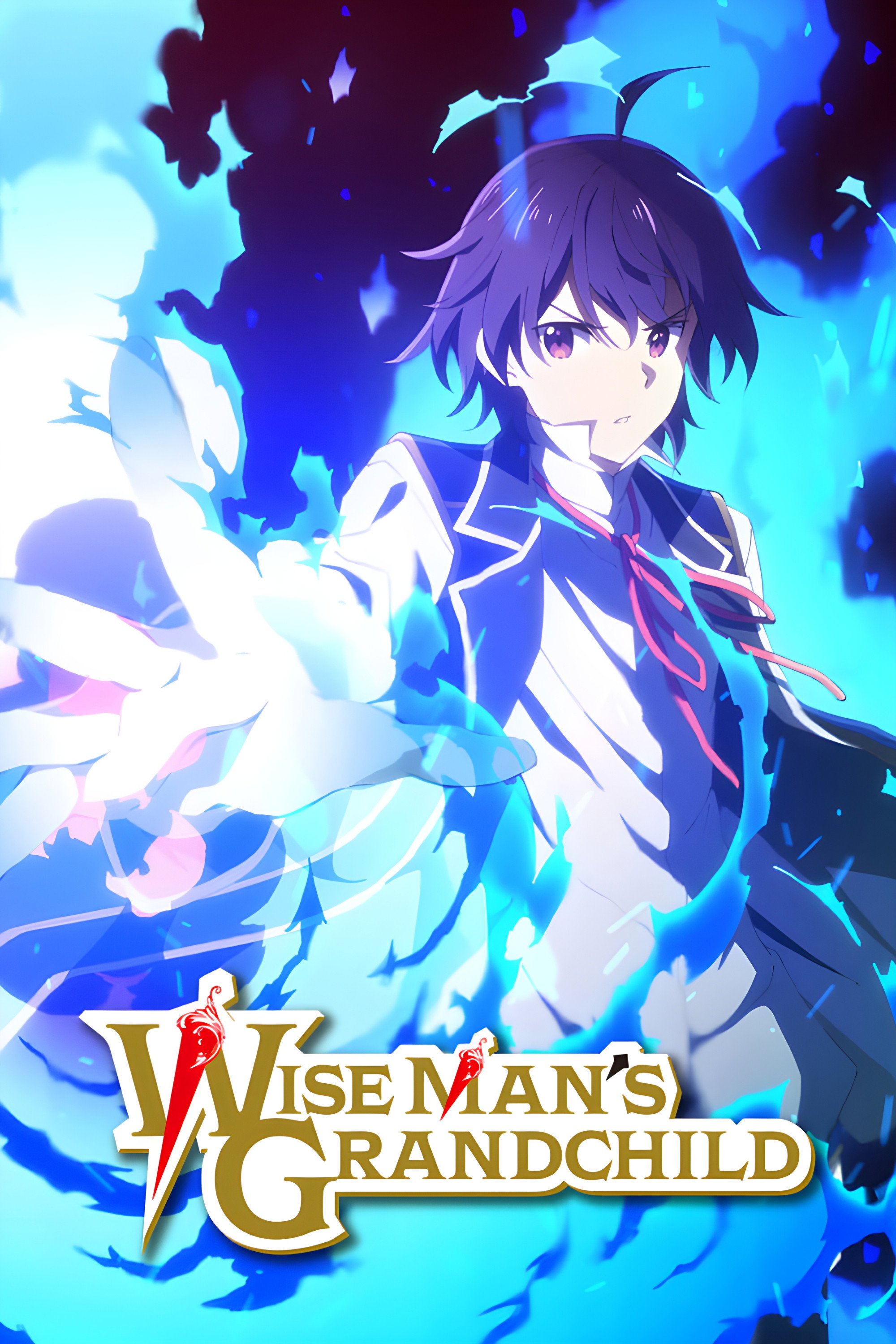 Wise Man's Grandchild (2019) poster