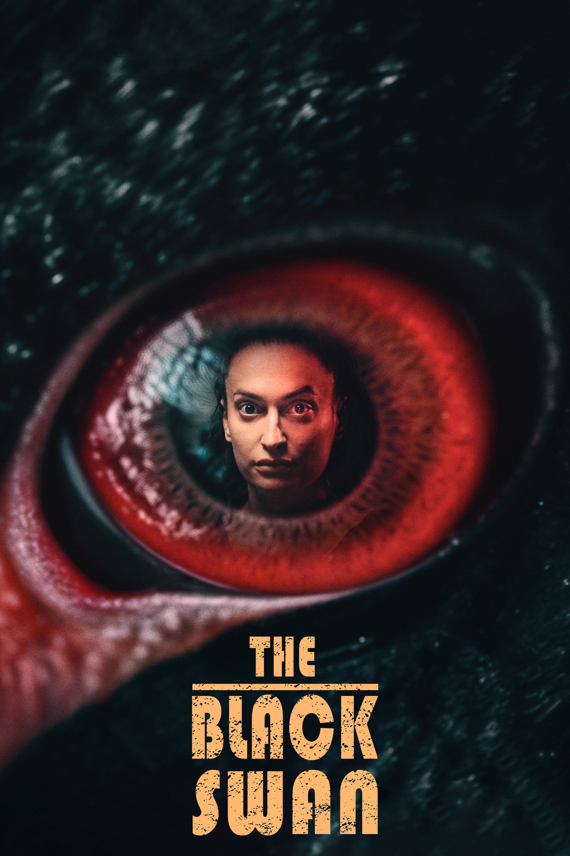 The Black Swan (2024) poster