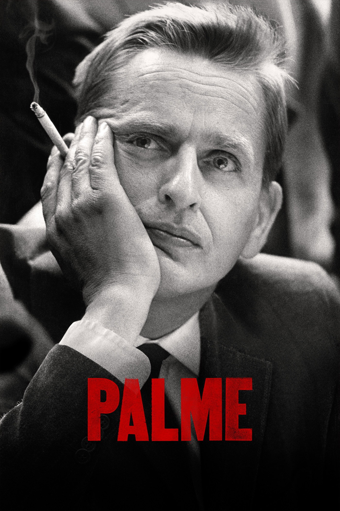 Palme (2012) poster