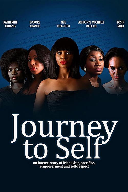 Journey to Self (2013) poster