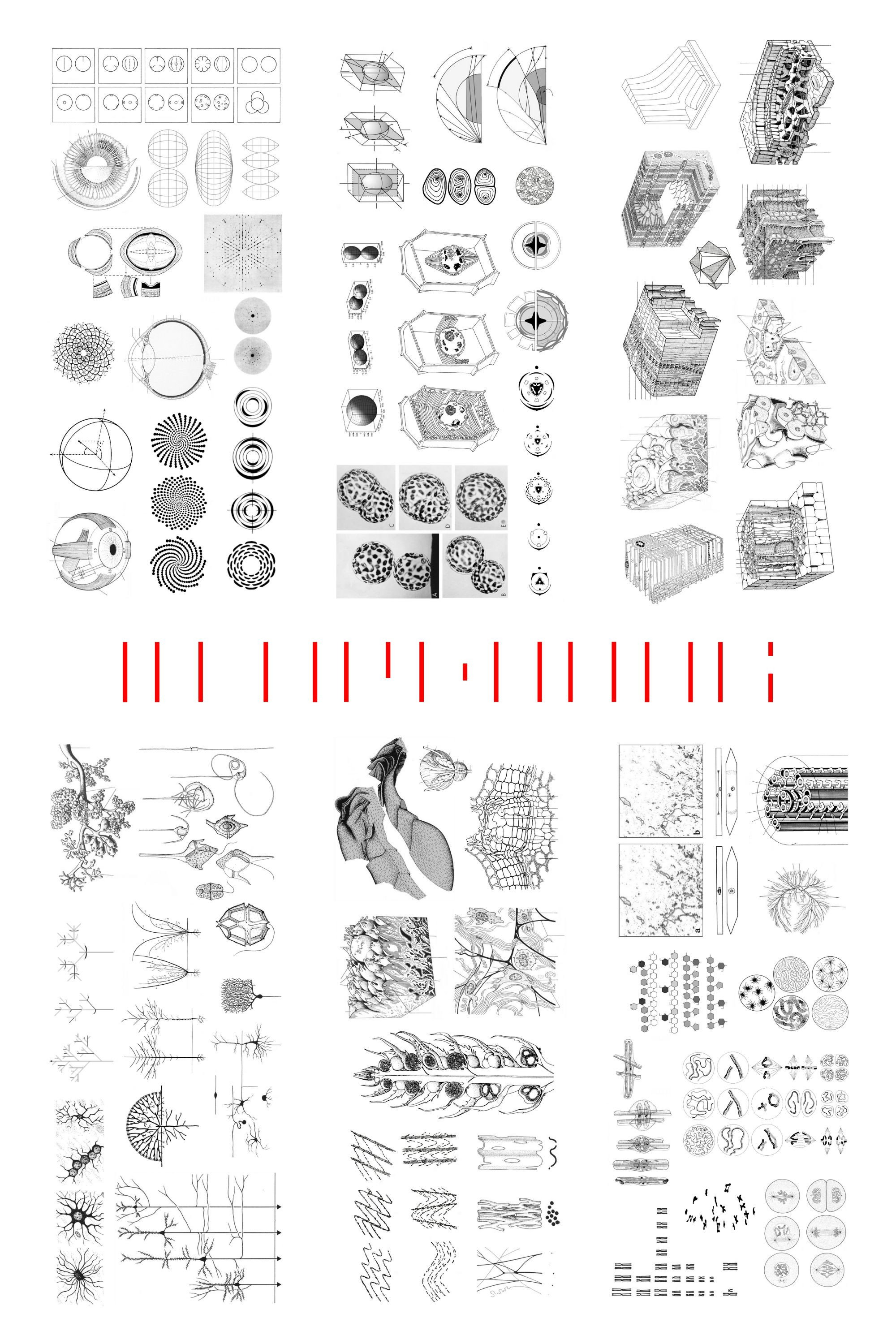 In Ordnung (2026) poster