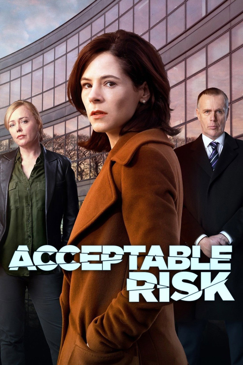Acceptable Risk (2017) poster