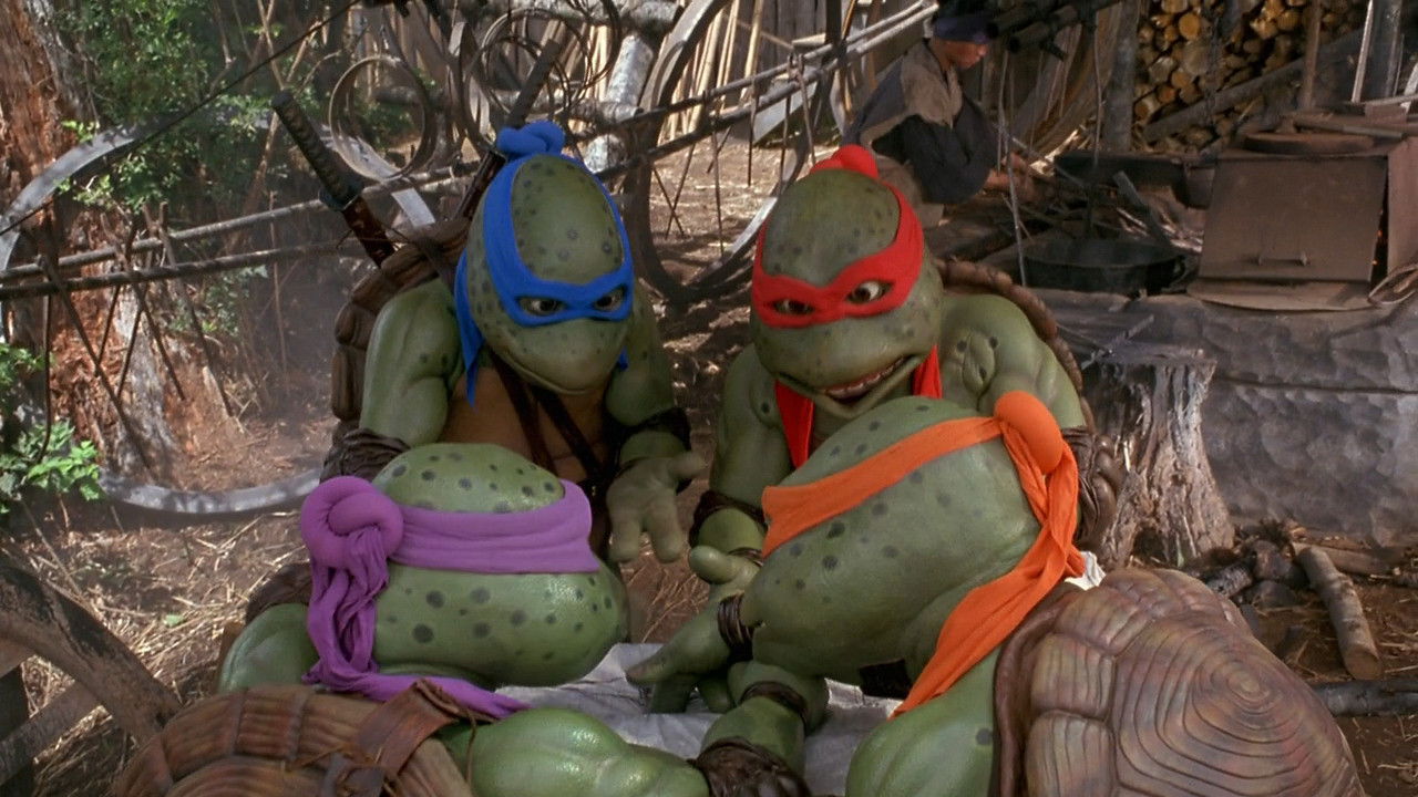 Teenage Mutant Ninja Turtles Collection background