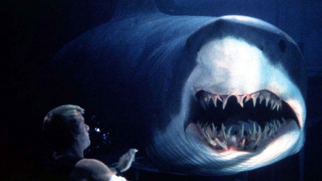 Deep Blue Sea Collection background