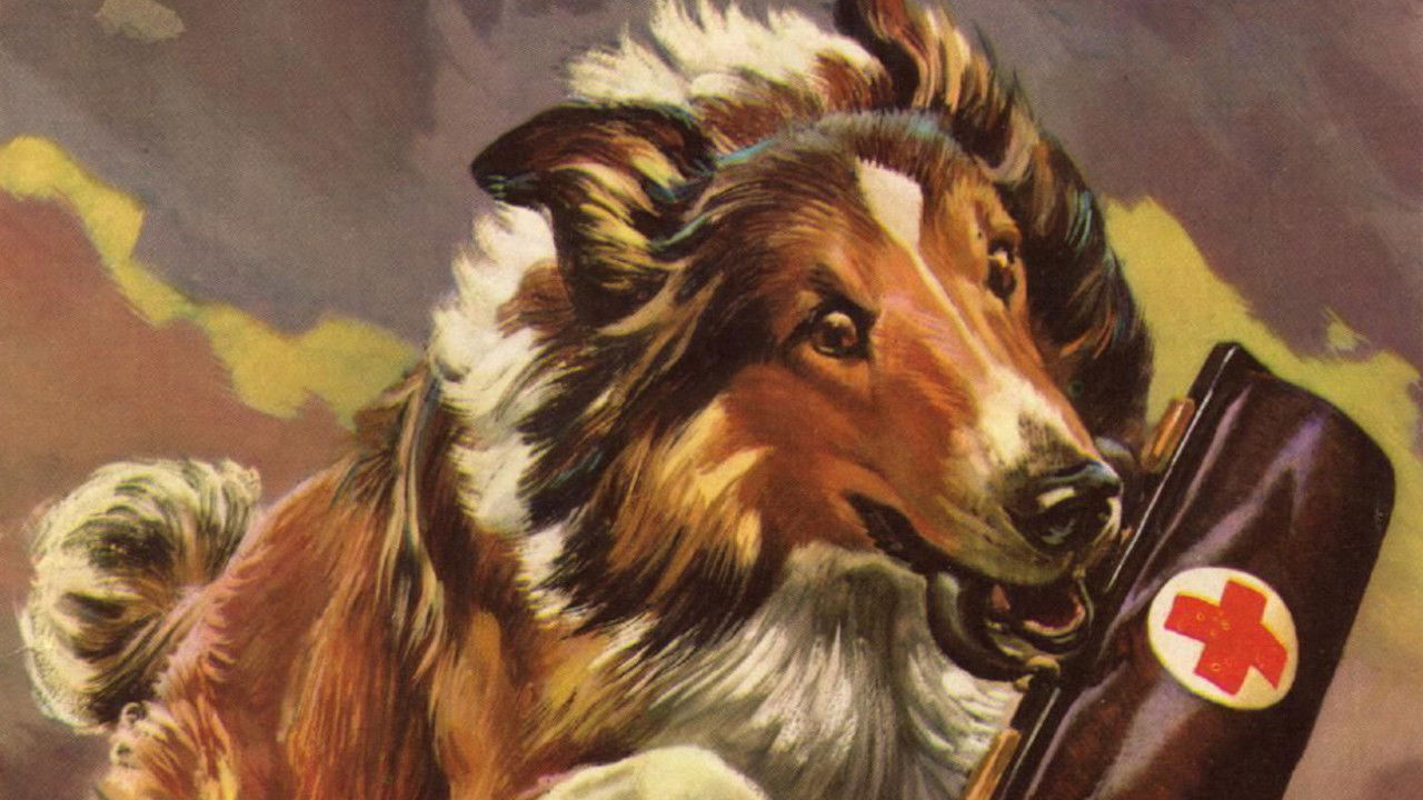 MGM's Lassie Collection background