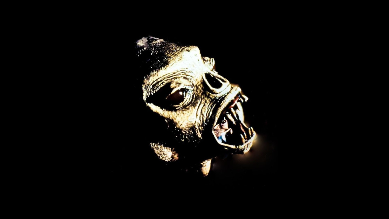 Xtro Collection background