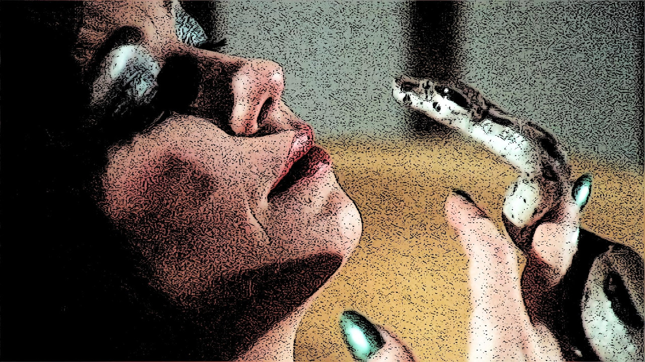 The Devil in Miss Jones Collection background