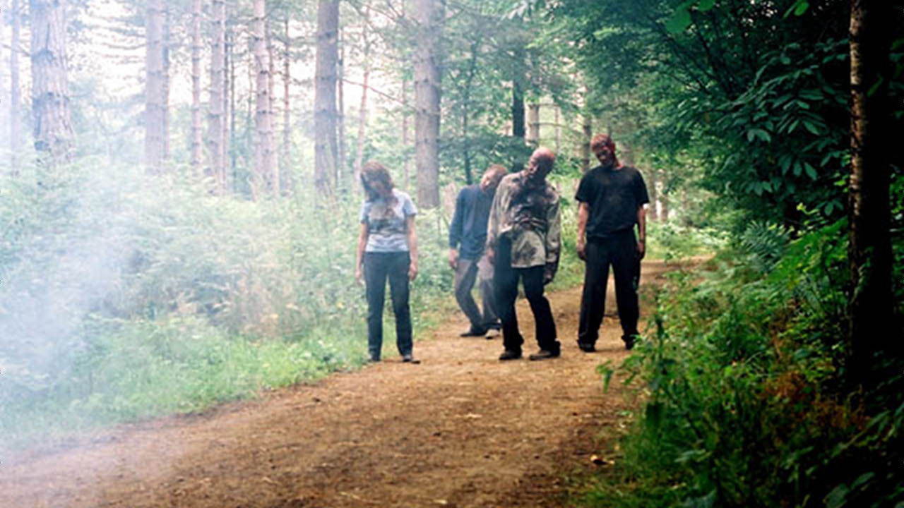 The Zombie Diaries Collection background